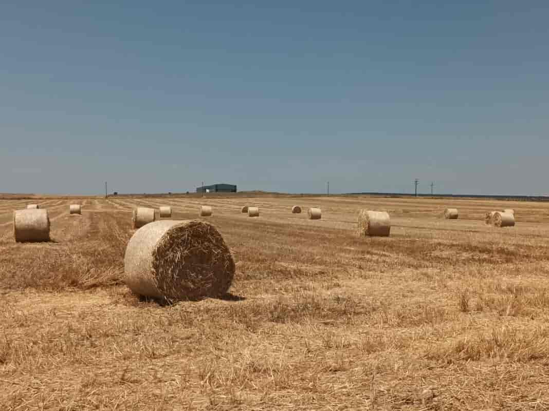 Θερμός ο Ιουνιος στην Θεσσαλία
