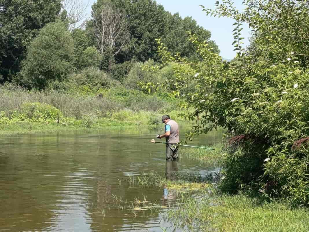 Συνεχίζονται οι εντατικοί έλεγχοι για την καταπολέμηση των κουνουπιών στη Θεσσαλία