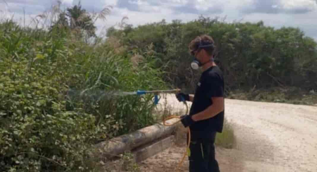 katapolemisi kounoupiwn - foto arxeiou