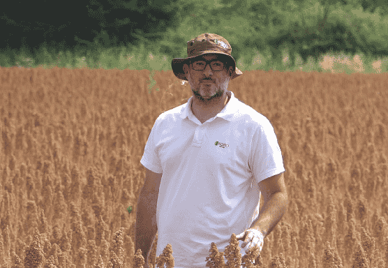 ΚΙΝΟΑ ΣΤΗΝ ΘΕΣΣΑΛΙΑ