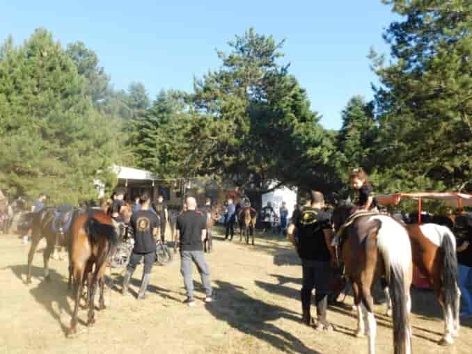 Πολιτιστικές και αθλητικές εκδηλώσεις στο Δήμο Τεμπών – από 4 έως 6 Ιουλίου 2025