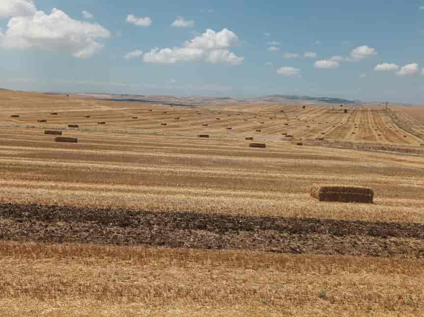 καιροσ στη Θεσσαλία