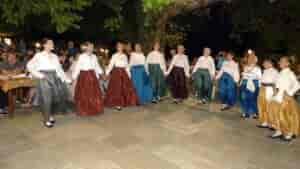 Ζωντάνεψε η παράδοση στον Άγιο Γεώργιο Νηλείας – Χιλιάδες βήματα σε μια νύχτα πολιτισμού, μουσικής & μνήμης