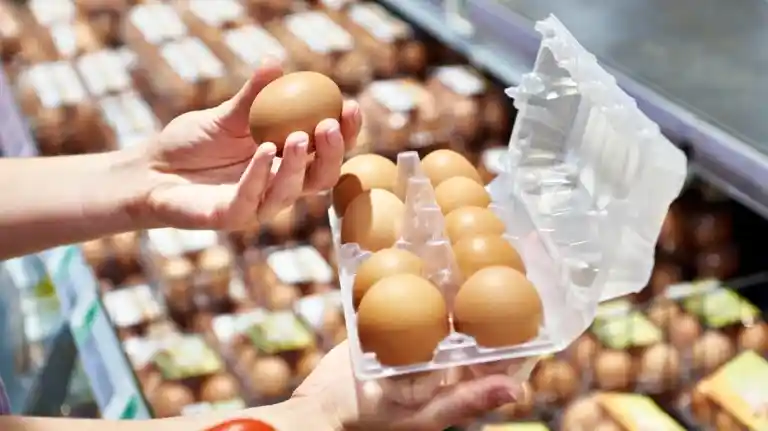 Θωμαΐδης για τις απαγορευμένες ουσίες που εντοπίστηκαν σε αυγά: Υπάρχουν παντού, αν δώσουμε αίμα είναι σχεδόν σίγουρο ότι θα τις εντοπίσουμε!