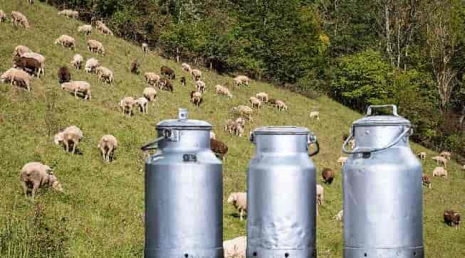 ktinotrofoi Γιορτή Κτηνοτροφίας