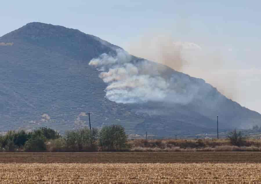 Φάρσαλα: Εναέρια μέσα και πυροσβεστική επιχειρούν στο όρος Σούρλα (Βίντεο)
