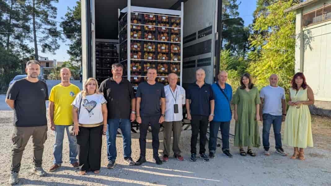 Koinoniko Pantopoleio, Frouta, Poluteknoi (2)