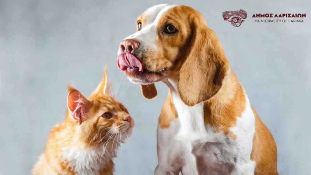 Katafygio adespoton - Dimos Larissaion (1)