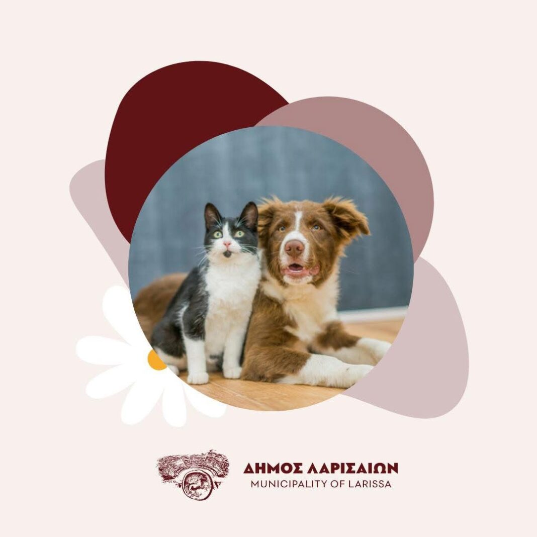 Katafygio adespoton - Dimos Larissaion (2)