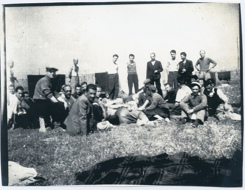 Stratopedo olokautoma larissa