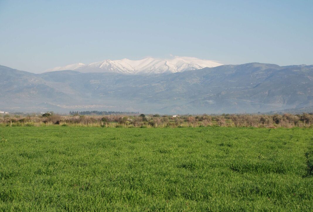 Διάλεξη στη Δημοτική Βιβλιοθήκη Συκουρίου