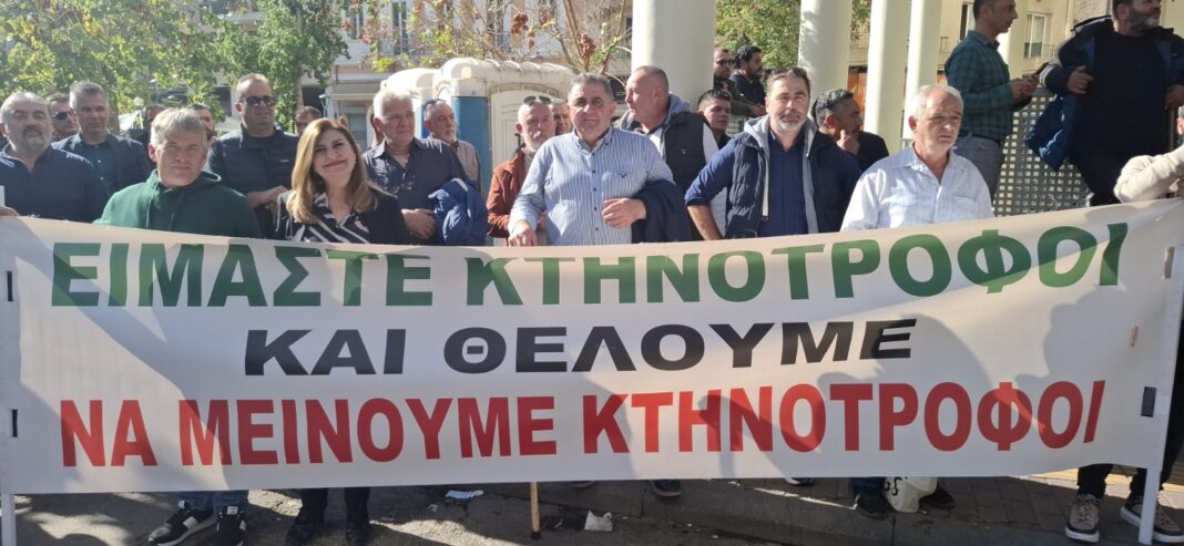Ε. Λιακούλη για πανελλαδική κινητοποίηση παραγωγών στην Αθήνα: «Όχι άλλη κοροϊδία! Δυναμώνουμε τη φωνή των αγροτών και κτηνοτρόφων μας»