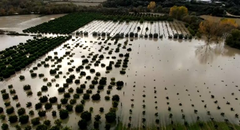 kairiko-thesprotia-768x416 Εκτεταμένα είνα τα προβλήματα από την κακοκαιρία στη Δυτική Ελλάδα, με το «112» να ηχεί στα Ιωάννινα, την Άρτα, την Πρέβεζα και την Θεσπρωτία για έντονα φαινόμενα και αυξημένο κίνδυνο κατολισθήσεων. Παράλληλα, κηρύχθηκαν σε κατάσταση έκτακτης ανάγκης, μετά από απόφαση του Γενικού Γραμματέα Πολιτικής Προστασίας, ο Δήμος Ζαγορίου, ο Δήμος Φιλιατών και ο Δήμος Ζηρού, δήμοι που έχουν πληγεί από τα τελευταία έντονα καιρικά φαινόμενα. Δείτε περισσότερα στο ertflix.gr | Ακούστε περισσότερα στο ertecho.gr Οι εικόνες που καταγράφονται στη Θεσπρωτία, είναι αποκαλυπτικές. Οι κάμποι του Δήμου Φιλιατών έχουν μετατραπεί σε απέραντες λίμνες. Για βιβλική καταστροφή κάνουν λόγο οι κάτοικοι. Περίπου 60 σκαπτικά μηχανήματα βρίσκονται αυτή τη στιγμή σε ορεινά χωριά, σε εθνικό επαρχιακό οδικό δίκτυο και προσπαθούν οι χειριστές να καθαρίσουν το οδόστρωμα, έτσι ώστε να δοθεί ξανά στην κυκλοφορία το οδικό δίκτυο. Δείτε περισσότερα στο ertflix.gr | Ακούστε περισσότερα στο ertecho.gr Δρόμοι έχουν κλείσει και οι παραγωγοί ζητούν άμεση στήριξη. Συνεργεία της περιφέρειας επιχειρούν σε πολλές περιοχές για να αντιμετωπίσουν τις συνέπειες της σφοδρής κακοκαιρίας. Στην Φιλιππιάδα η βροχόπτωση συνεχίζεται με τις εικόνες να φανερώνουν το μέγεθος των καταστροφών. Δρόμοι «ποτάμια», πλημμυρισμένα χωράφια και φερτά υλικά τα οποία κάνουν ακόμα πιο δύσκολη την κατάσταση. Δείτε περισσότερ