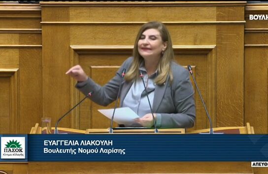 Ευαγγελία Λιακούλη, Τομεάρχης Δικαιοσύνης, Θεσμών & Διαφάνειας του ΠΑΣΟΚ-ΚΙΝΑΛ και βουλευτής Λάρισας