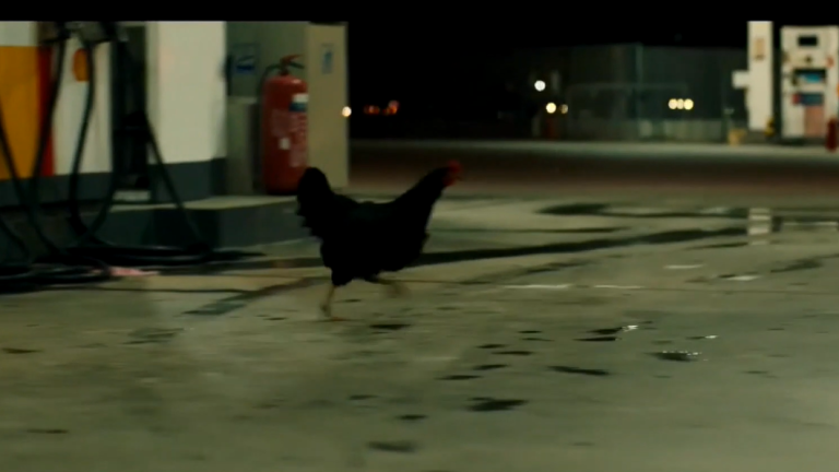 η ταινία «Κότα» του Γκιόργκι Πάλφι