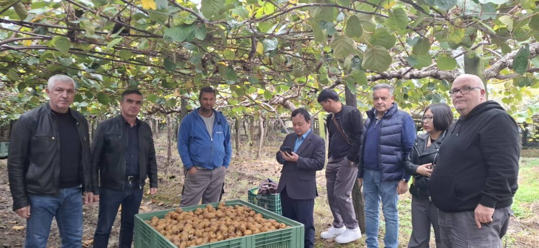 Κλιμάκιο της Φυτοϋγειονομικής Υπηρεσίας του Βιετνάμ