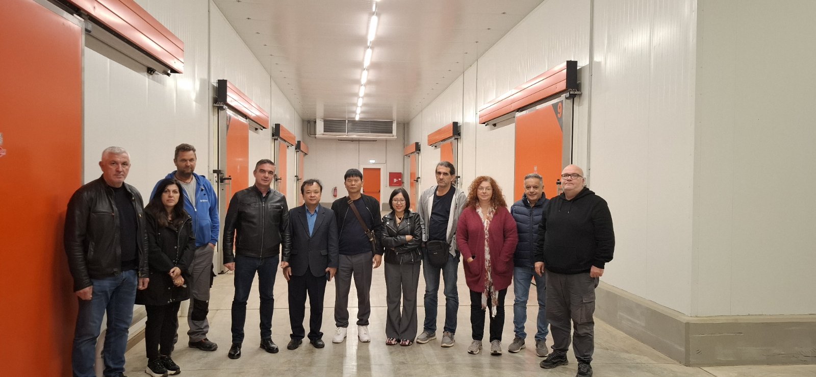 Κλιμάκιο της Φυτοϋγειονομικής Υπηρεσίας του Βιετνάμ
σε οπωρώνες και συσκευαστήρια της ΠΕ ΛάρισαςΑποκόμισε ιδιαίτερα θετικές εντυπώσεις από τις επισκέψειςΚλιμάκιο της Φυτοϋγειονομικής Υπηρεσίας του Βιετνάμ, αποτελούμενο από ειδικούς εμπειρογνώμονες, επισκέφθηκε περιοχές της Περιφερειακής Ενότητας Λάρισας με σκοπό να διαπιστώσει από κοντά το φυτοϋγειονομικό καθεστώς των ελληνικών οπωρώνων ακτινιδίου, καθώς και να αξιολογήσει την επάρκεια και αποτελεσματικότητα των φυτοϋγειονομικών ελέγχων σε όλα τα στάδια της παραγωγικής διαδικασίας, από τον οπωρώνα έως και το συσκευαστήριο.
Την αντιπροσωπεία συνόδευαν εκπρόσωποι του ΥΠΑΑΤ και συγκεκριμένα ο Προϊστάμενος του Τμήματος Φυτοϋγειονομικού Ελέγχου, της Δ/νσης Προστασίας Φυτικής Παραγωγής του ΥΠΑΑΤ κ. Χρήστος Αραμπατζής, η γεωπόνος του ιδίου τμήματος κ. Σταυρούλα Ιωαννίδου και ο ερευνητής του Μπενακείου Φυτοπαθολογικού Ινστιτούτου Δρ. Δημήτρης Παπαχρήστος.
Την αντιπροσωπεία συνόδευσε ο θεματικός Αντιπεριφερειάρχης Πρωτογενούς Τομέα και Αγροτικής Οικονομίας κ. Δημήτρης Τσέτσιλας, ο Γενικός Δ/ντής Αγροτικής Οικονομίας και Κτηνιατρικής Περιφέρειας Θεσσαλίας Δρ. Δημήτριος Σταυρίδης, η Αν. Προϊσταμένη του Τμήματος Φυτοπροστασίας Φυτών, Ποιοτικού και Φυτοΰγειονομικού Ελέγχου ΠΕ Λάρισας κ. Αναστασία Σταματοπούλου, ο Αντιδήμαρχος του Δήμου Τεμπών κ Νικ. Μητσογιάννης και ο Πρόεδρος του Αγροτικού Συνεταιρισμού Πυργετού κ. Αθανάσιος Ευθυμίου.
Αρχικά, η αντιπροσωπεία επισκέφθηκε αγρούς ακτινιδίων στην ευρύτερη περιοχή του Πυργετού, του Δήμου Τεμπών, προκειμένου να διαπιστώσει τη φυτοϋγειονομική κατάσταση των καλλιεργειών και να ενημερωθεί για τον τρόπο εφαρμογής των επισκοπήσεων επιβλαβών οργανισμών καραντίνας που εφαρμόζει η χώρα μας.
Στη συνέχεια, ακολούθησε ξενάγηση στους χώρους του συσκευαστηρίου ακτινιδίων του Αγροτικού Συνεταιρισμού Πυργετού, όπου τα μέλη της αντιπροσωπείας ενημερώθηκαν αναλυτικά για τη διαδικασία συσκευασίας, ελέγχου ποιότητας και τελικής πιστοποίησης των εξαγόμενων προϊόντων.
Η Βιετναμέζικη Αντιπροσωπεία αποκόμισε ιδιαίτερα θετικές εντυπώσεις από τις επισκέψεις που πραγματοποίησε στους οπωρώνες και συσκευαστήρια, καθώς και από το υψηλό επίπεδο οργάνωσης και επιστημονικής επάρκειας των αρμοδίων υπηρεσιών.
Οι φυτοϋγειονομικές υπηρεσίες εφαρμόζουν με συνέπεια όλα τα προβλεπόμενα διεθνή πρωτόκολλα για τη διασφάλιση της ποιότητας και της ασφάλειας των προϊόντων, συμβάλλοντας ουσιαστικά στη διεύρυνση των εξαγωγικών δυνατοτήτων της Θεσσαλίας.
Τα θετικά σχόλια που διατυπώθηκαν, από τη Βιετναμέζικη Αντιπροσωπεία για την ποιότητα των ελέγχων, θέτουν ισχυρές βάσεις για τη μελλοντική ενίσχυση της συνεργασίας μεταξύ Ελλάδας και Βιετνάμ στον τομέα των αγροτικών εξαγωγών, ενισχύοντας ακόμη περισσότερο τη διεθνή εικόνα και την εξωστρέφεια της θεσσαλικής αγροτικής παραγωγής.
Η Περιφέρεια Θεσσαλίας συμβάλλει συνεχώς με  συντονισμένες προσπάθειες, μέσω των αρμόδιων υπηρεσιών της, στην προώθηση των ποιοτικών θεσσαλικών προϊόντων σε νέες αγορές, καθώς και στη στήριξη των παραγωγών και εξαγωγέων της περιοχής.
