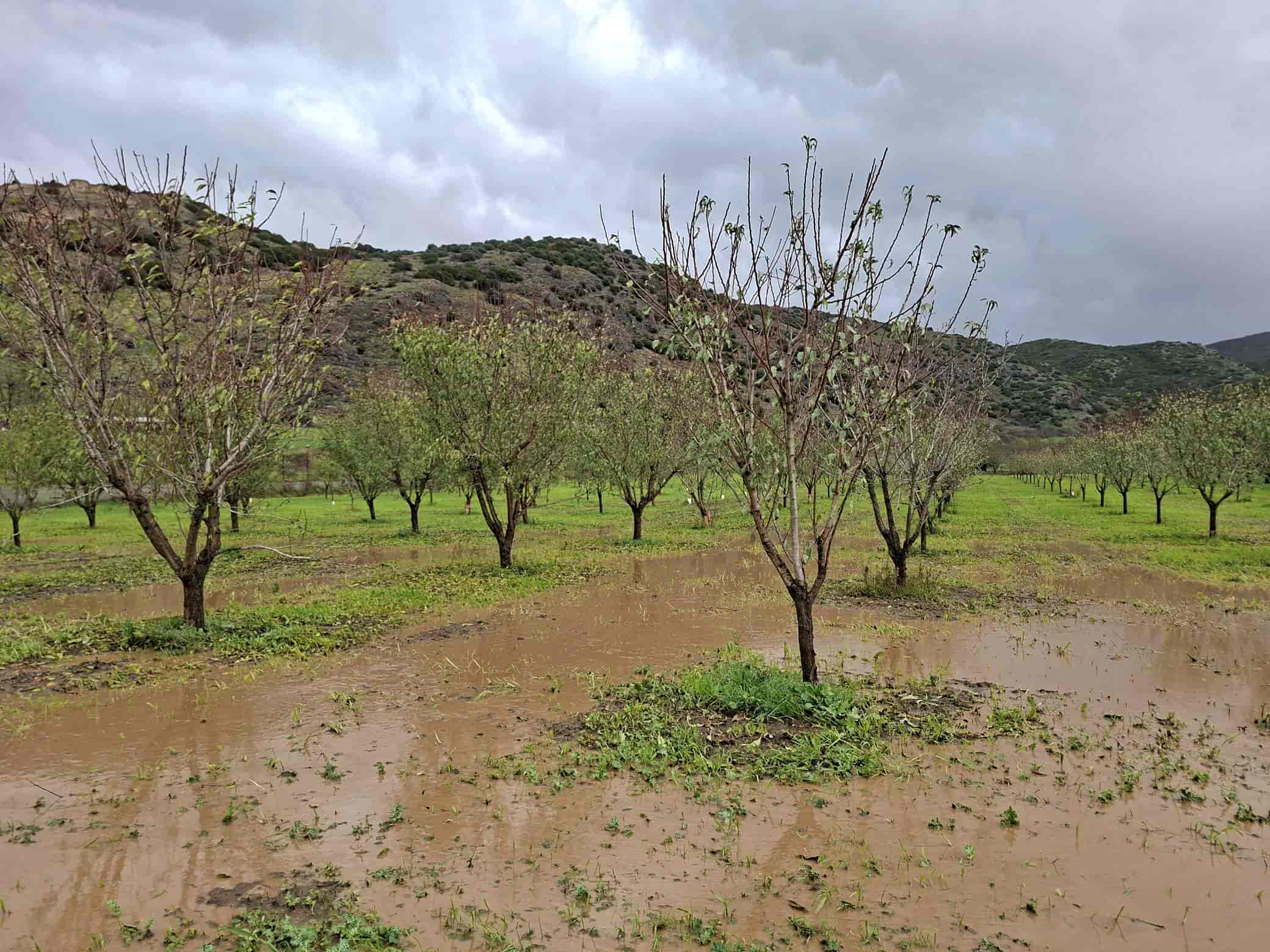 Καιρος στη Θεσσαλία - Βροχές στον κάμπο