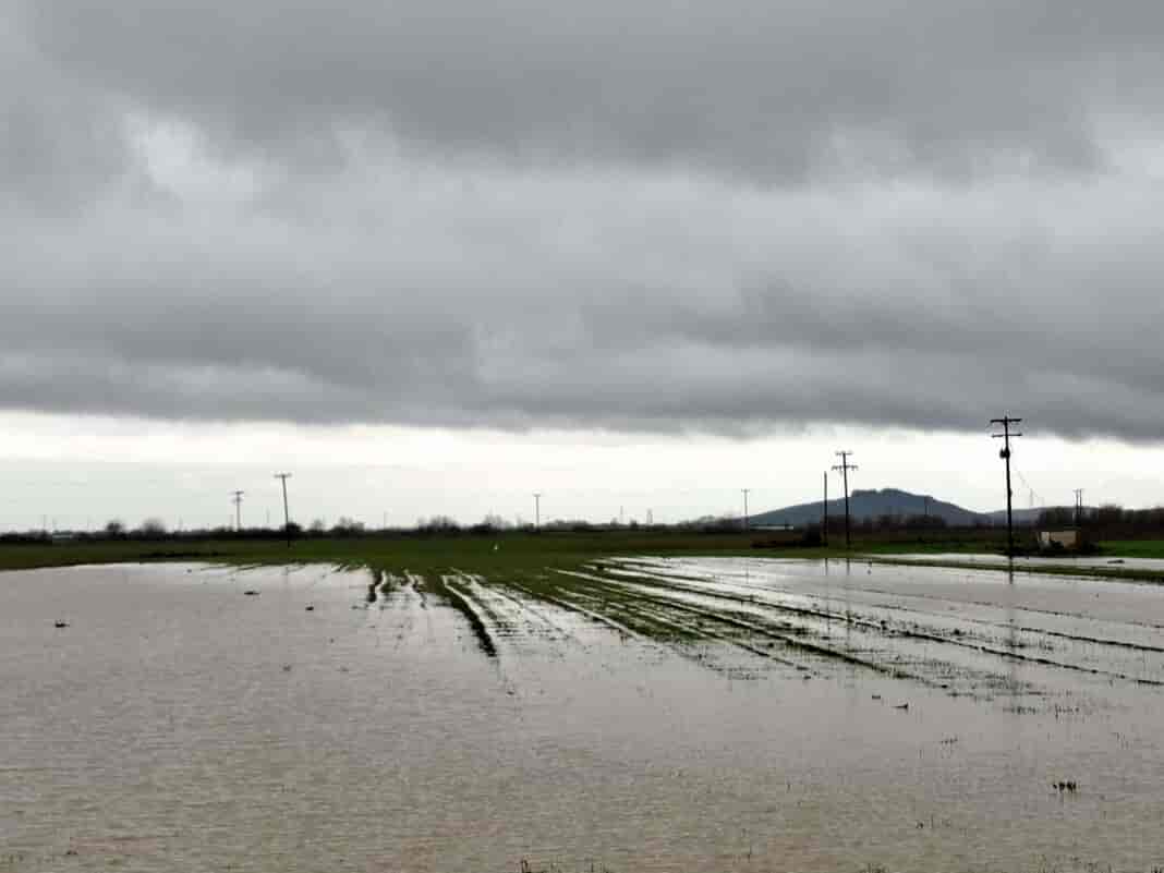 20251206_115710_copy_3224x2418 Πλημμύρισαν τα χωράφια σε Λάρισα και Καρδίτσα