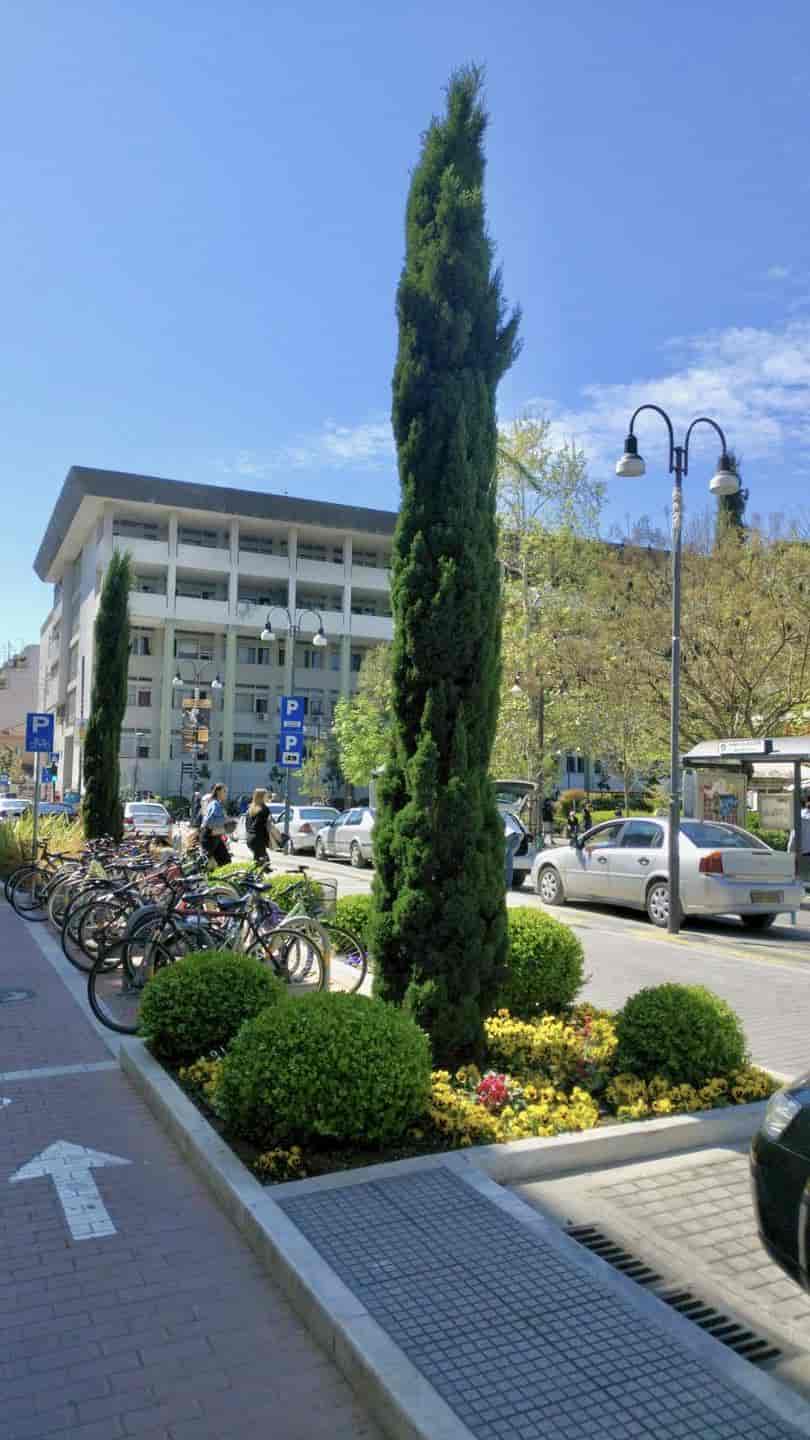 Ολοκληρωμένο και λειτουργικό Κανονισμό Πρασίνου αποκτά για πρώτη φορά ο Δήμος Λαρισαίων –