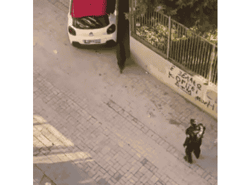 agriogourono euosmos Αστυνομικοί κυνηγάνε αγριογούρουνο σε γειτονιά στον Εύοσμο