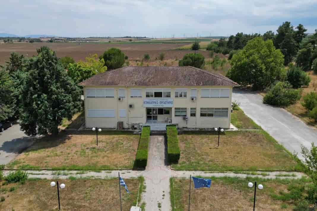 Η πολύτιμη συμβολή του Κτηνιατρικού Εργαστηρίου Λάρισας στη διαχείριση της ευλογιάς