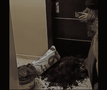 Αγρότες πέταξαν άχυρο και κοπριά έξω από το γραφείο του Βουλευτή της ΝΔ