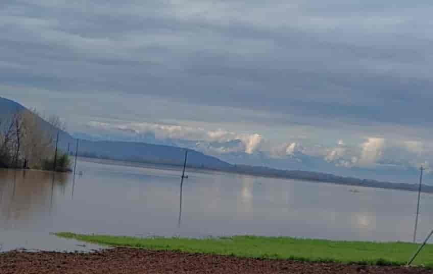 zarko-plymmyra-1024x538 Χιλιάδες στρέμματα καλλιεργειών καλύφθηκαν από την υπερχείλιση του Πηνειού ποταμού σε Τρίκαλα και Λάρισα