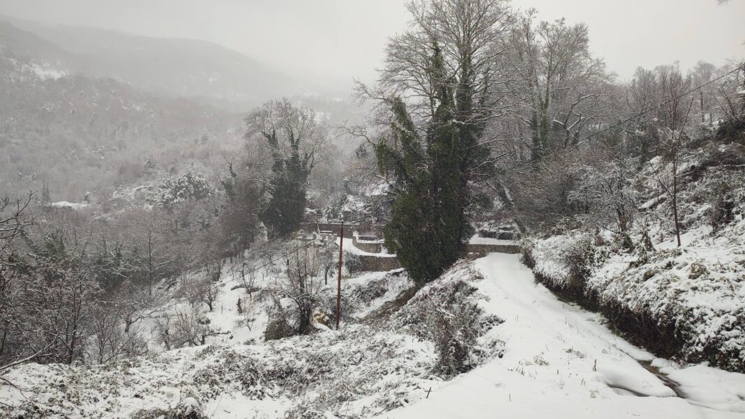 Drakeia Πήλιο: Μετέφεραν στα χέρια πάνω σε φορείο μέσα στο χιόνι καρκινοπαθή