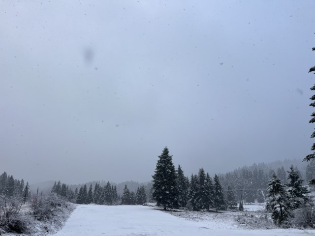 IMG-62d237ee1c5c0a7d503834412fd6d868-V-Small