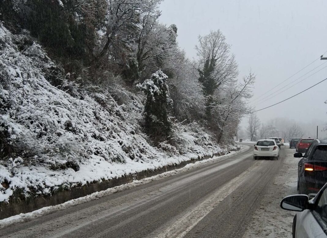 a803bb18-a687-4264-a8c4-b6d242402964-1392x1856 Χιονι στο Πήλιο