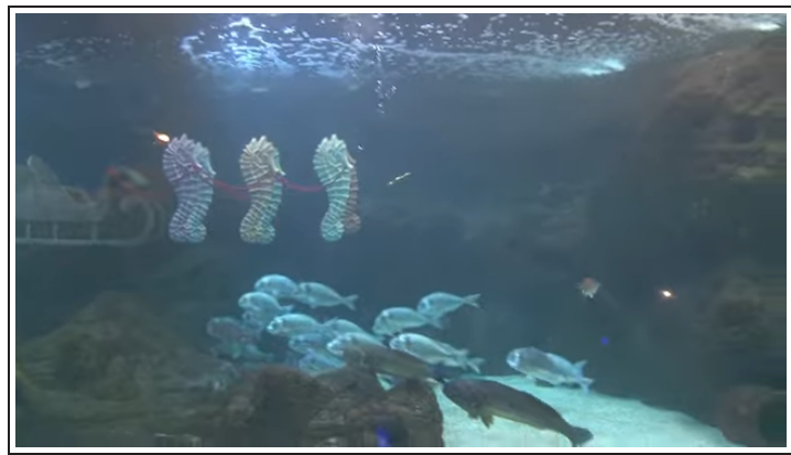 Ο Αγιασμός των Υδάτων στο Ενυδρείο Κρήτης