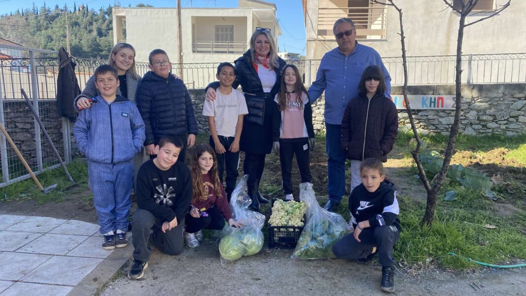 20260219_135145 ΚΟΙΝΩΝΙΚΟ ΠΑΝΤΟΠΩΛΕΙΟ 4