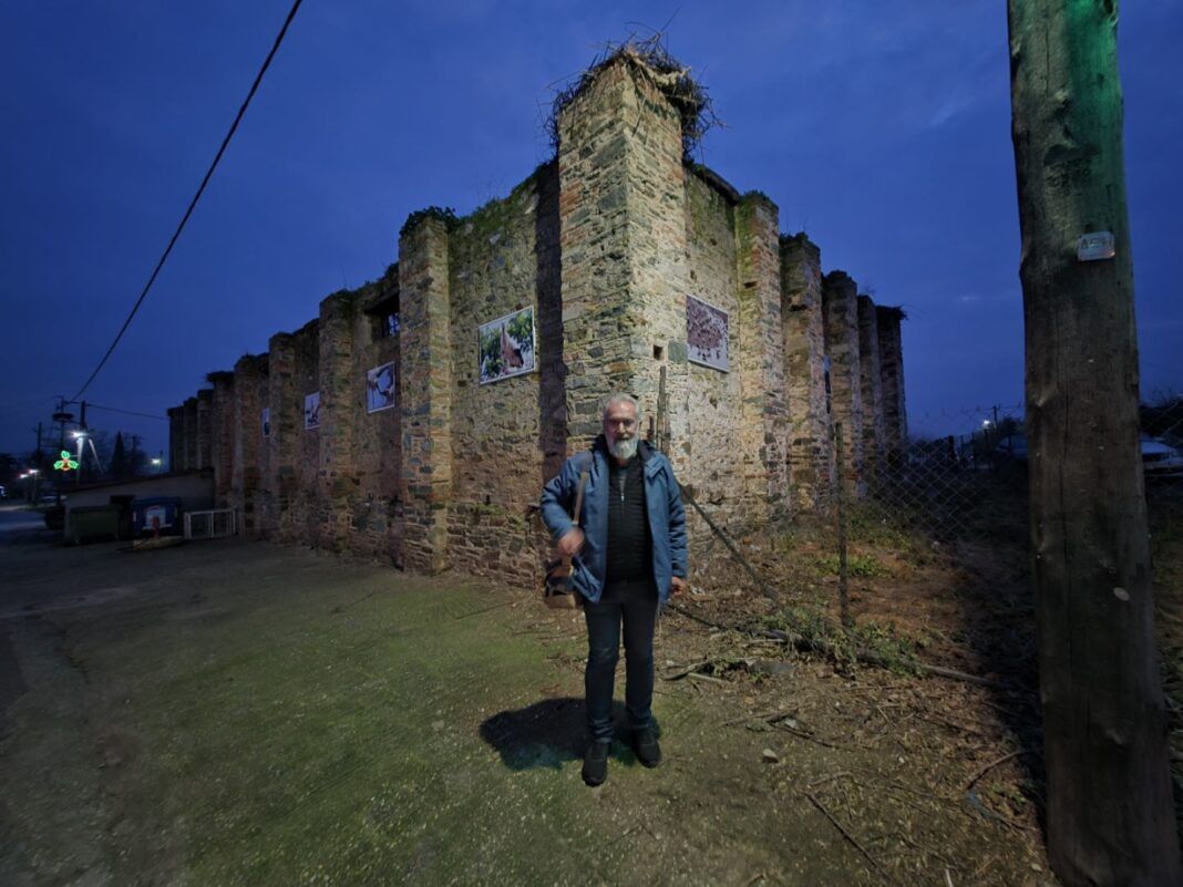 Πελαργοί στη Γυρτώνη ακόμη και το χειμώνα