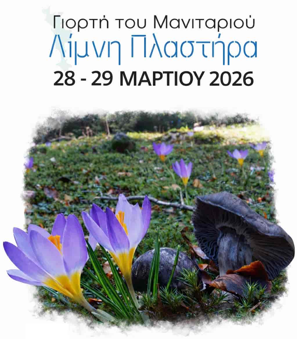 Γιορτή Μανιταριού στη λίμνη Πλαστήρα