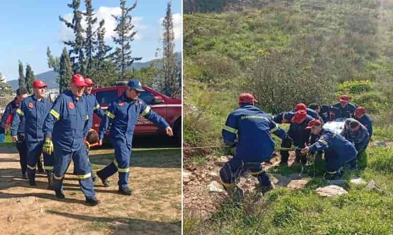tourkovounia-768x460 Άνδρας που πετούσε χαρταετό έπεσε στον γκρεμό από μεγάλο ύψος στα Τουρκοβούνια