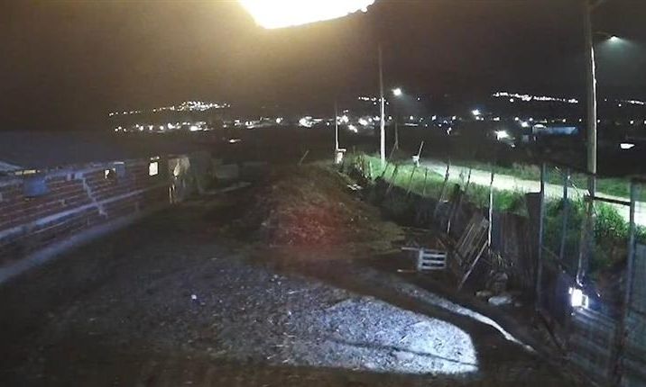 Κουκουλοφόροι εισέβαλαν σε μαντρί και έκλεψαν πρόβατα