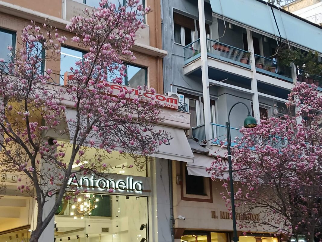 Messenger_creation_8701B040-0749-4F5E-BF70-F44D956EC7C8