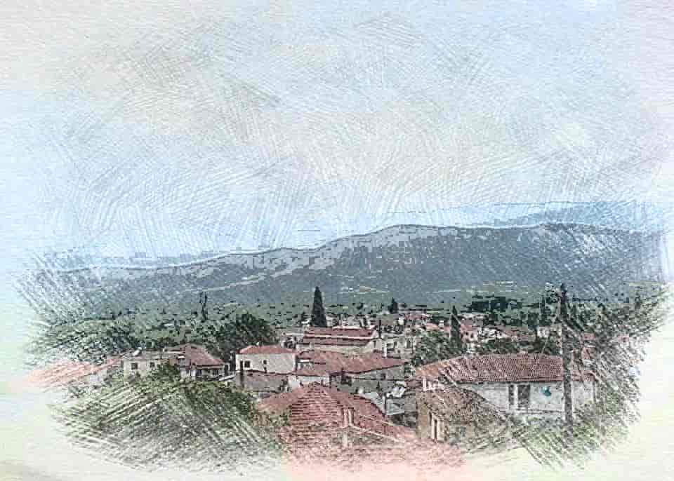 potamia larisas