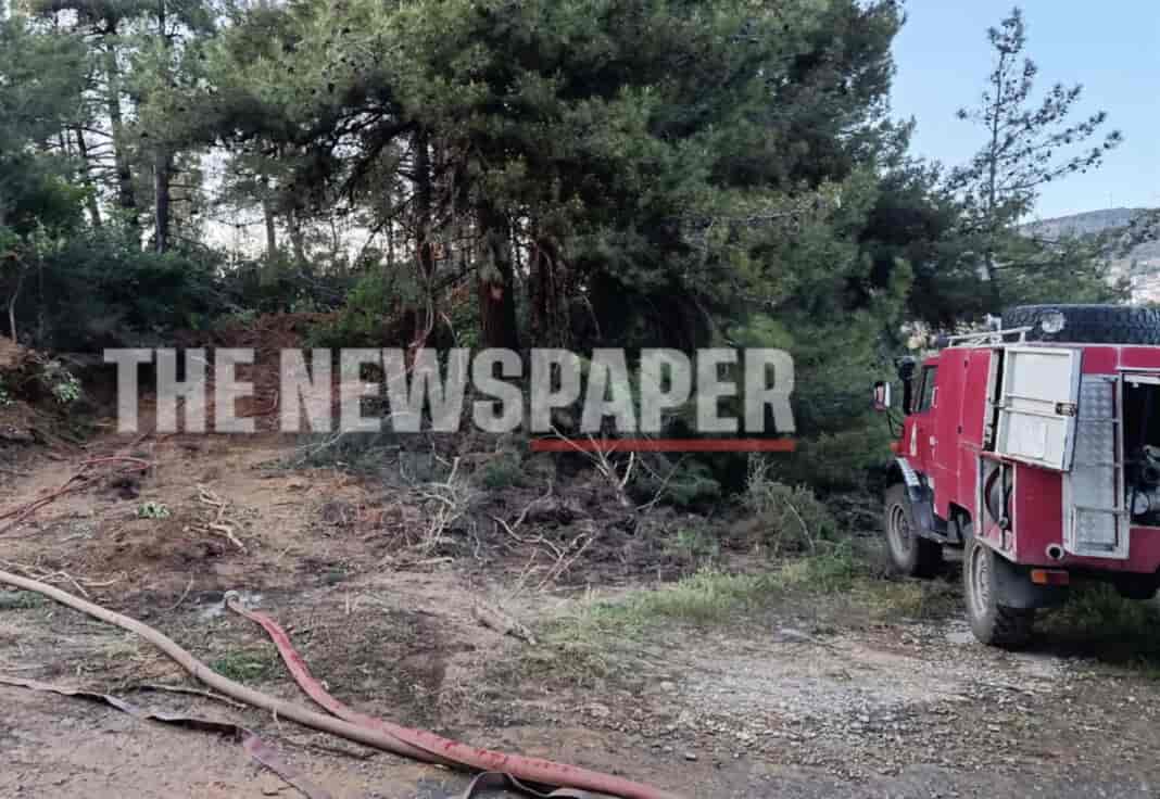 Σε κατάσταση αυξημένης επιφυλακής τέθηκαν το απόγευμα οι πυροσβεστικές δυνάμεις στη Μαγνησία