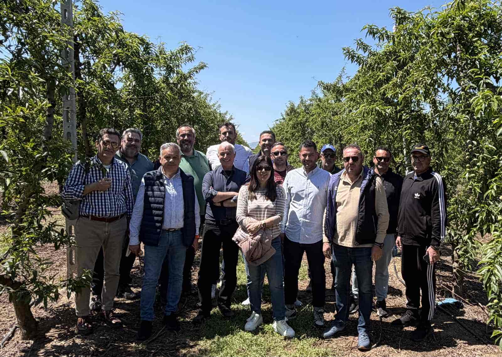 Νέες αυτοψίες και λήψη δειγμάτων για τις εκτεταμένες ζημιές στις δενδροκαλλιέργειες – Άμεσες αποζημιώσεις ζητά ο Δήμος Τυρνάβου