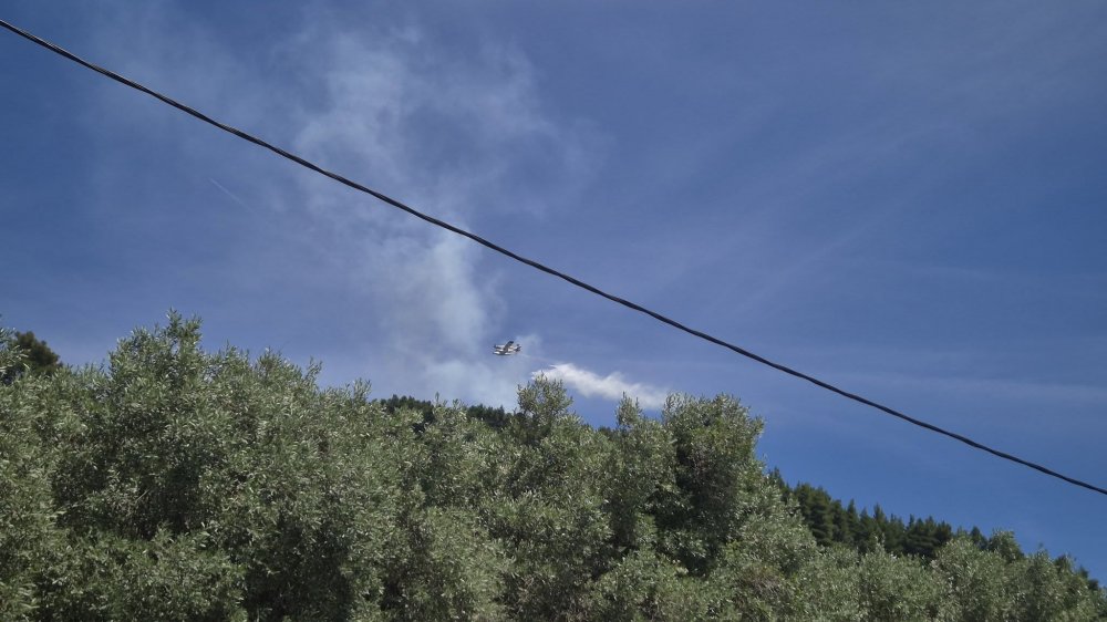 1781525571662425601_ Σκόπελος: Χωρίς ενεργό μέτωπο η φωτιά που εκδηλώθηκε σε δύσβατη περιοχή