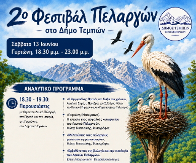 Pelargoigyrtoni_copy_389x583 2ο Φεστιβάλ Πελαργών στον οικισμό της Γυρτώνης
