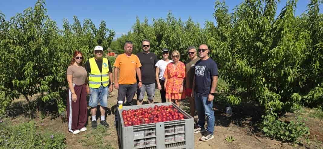 NEKTARINIA Νεκταρίνια προσέφερε ο παραγωγός από τη Γιάννουλη κος Φάνης Τραγάκης στο Κοινωνικό Παντοπωλείο