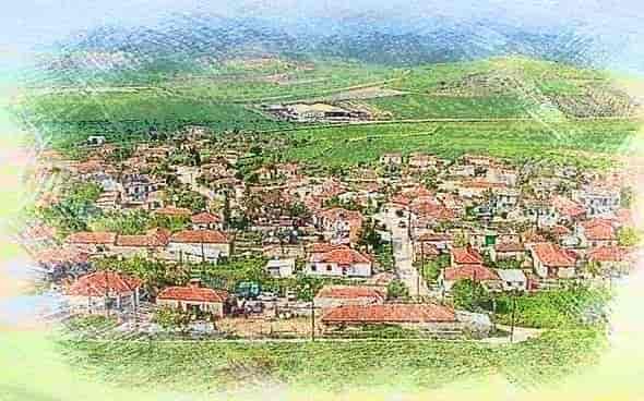 mura larisas