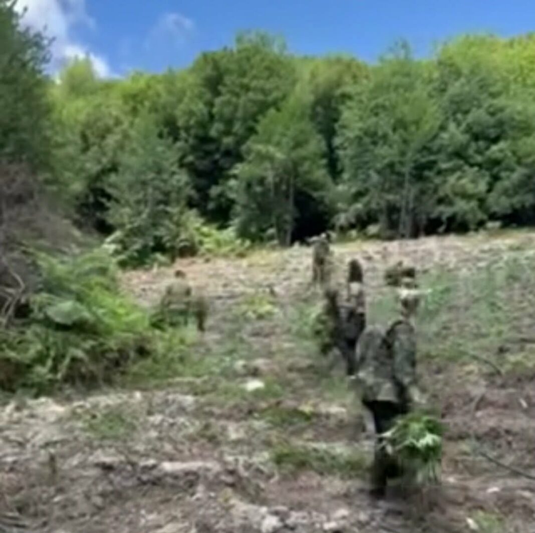 xasisofuteia astynomia larisas