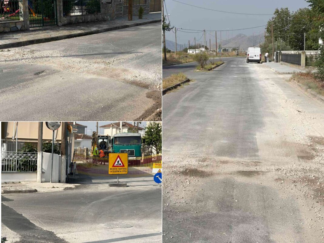 Ampelonas_20260828_162051765