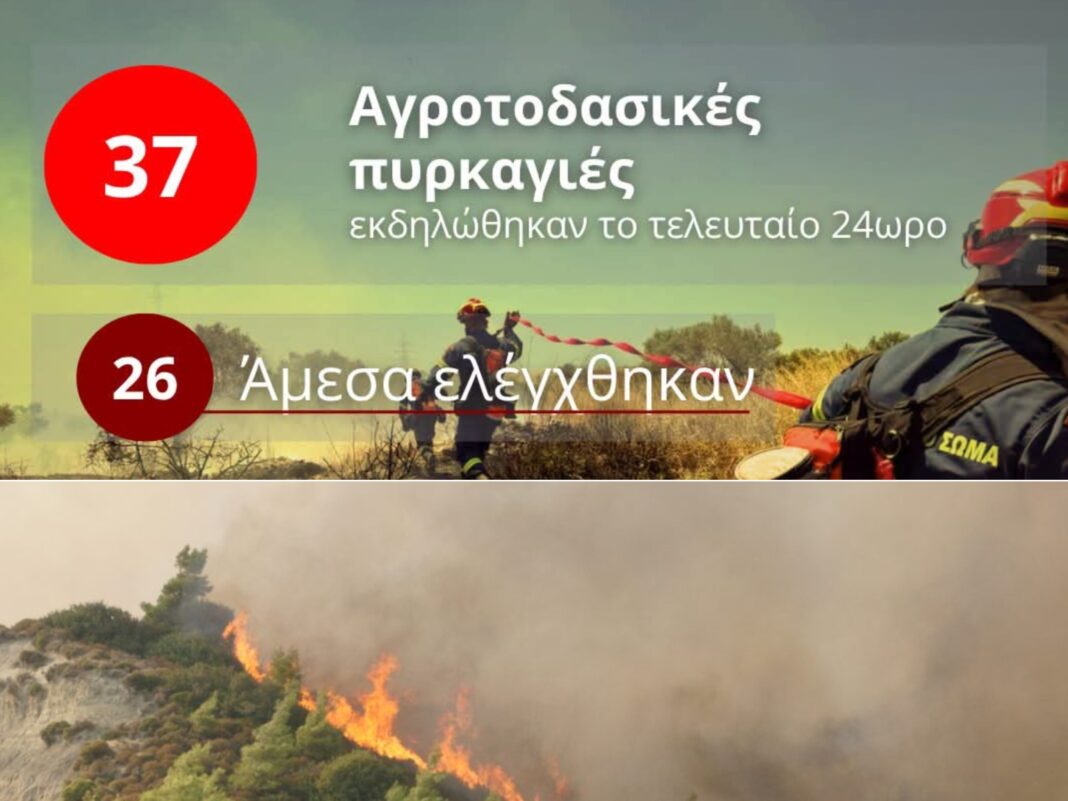 GridArt_20260823_215031892