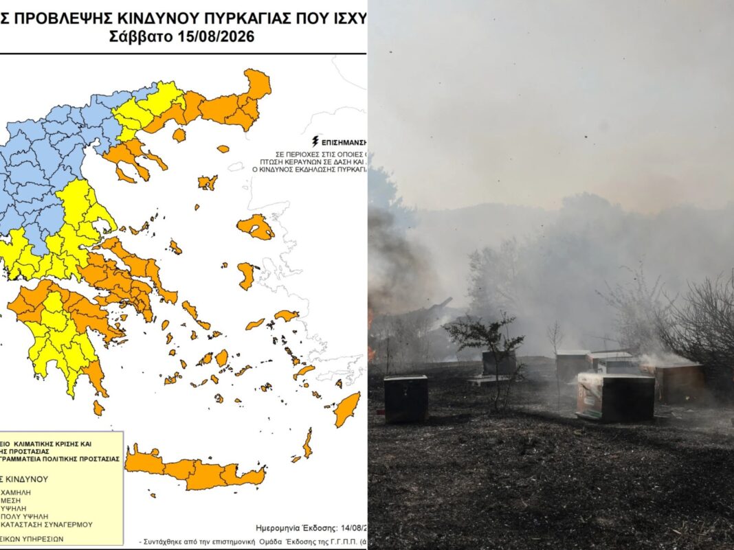 Politiki 0260815_095945786