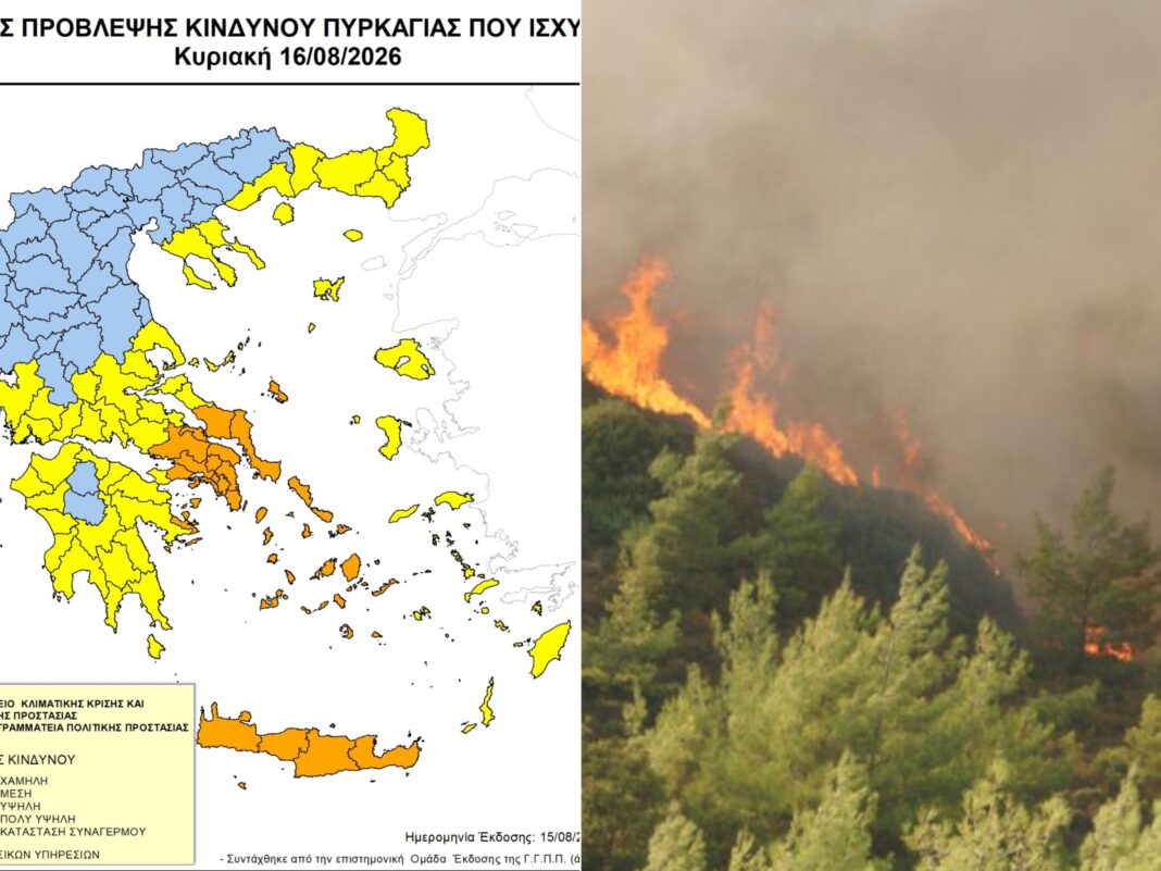 Pyrkad_002249115